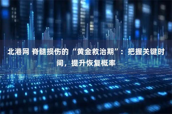 北港网 脊髓损伤的 “黄金救治期”:把握关键时间,提升恢复概率