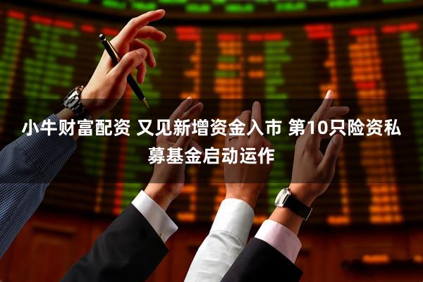 小牛财富配资 又见新增资金入市 第10只险资私募基金启动运作